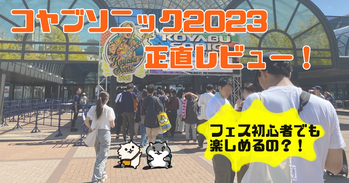 コヤブソニック2023正直レビュー！フォートナイトエリアも紹介！ | お 